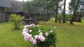  Männi Summerhouse  Деревня Кассари